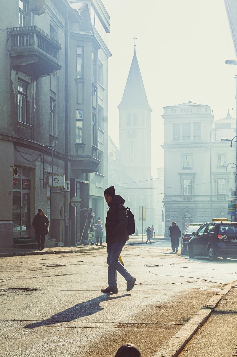 Urban Jungle Inspiration